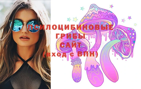 mix Белокуриха