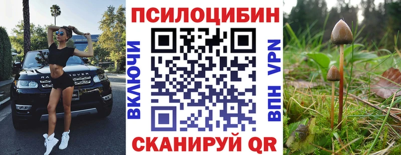 Купить закладки Болохово Псилоцибиновые грибы MAGIC MUSHROOMS